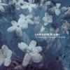 Lavender Blush - Garden Of Inescapable Pleasure VINYL [LP]