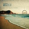 Shot by the Breeze - Put The Worries Down CD