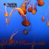 Asterionella - Under The Waves CD