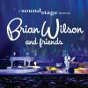 Brian Wilson - Brian Wilson & Friends CD (With DVD)