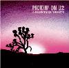 Pickin On U2 - Pickin On U2: A Bluegrass Tribute CD