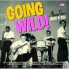 Going Wild: Music City Rock N Roll CD