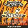 Hermanos Zaizar - 12 Grandes Exitos 2 CD (Limited Edition)