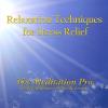 Mordy Levine - Relaxation Techniques For Stress Relief CD (CDR)