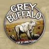 Arbor Grey buffalo - live at long plains cd
