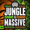 Ministry Of Sound: Jungle Is Massive CD