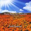 Fred Gaertner - Three Pieces For Orchestra 3. Prelude 19:36 CD (CDR)