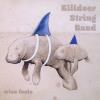 Killdeer String Band - Wise Fools CD