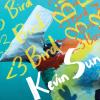 Kevin Sun - Bird CD