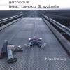 antrobus feat. owoko & wzbelle - Nachtflug CD