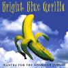 Bright Blue Gorilla - Mantra For The American Jungle CD