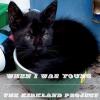 Kirkland Project - When I Was Young CD (CDRP)