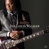 Walker, Joe Louis - Hellfire CD