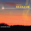 Mike Bader Bearjam - Worldwide Blues CD