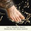 Jim e Sparkle Pants - Dancing On Sage Leaves CD