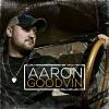 Imports Aaron goodvin - aaron good vin cd