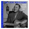 Williams, Big Joe - Essential Blue Archive: Baby Please Don't Go CD