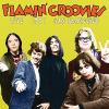 Flamin' Groovies - Live In San Francisco 1973 VINYL [LP]