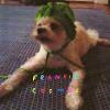 Frankie Cosmos - Zentropy VINYL [LP] (Limited Edition)