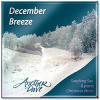 Another Dave - December Breeze CD