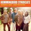 Hummingbird Syndicate - Waterfall Away CD