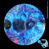 2xirtam - Quantum Worlds CD