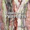 James Dunne - Words Of The Prophets 1 CD (CDRP)