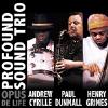 Profound Sound Trio - Opus De Life CD