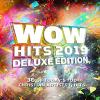 Wow Gospel Hits Wow hits 2019 - wow hits 2019 cd (deluxe edition)