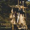 David Walburn - Cabin Song CD
