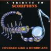 Covered Like A Hurricane: Trib To Scorpions CD