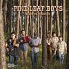 Pine Leaf Boys - Blues De Musicien CD
