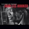 Hooker, John Lee - Best of Friends CD