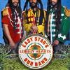 Easy Star All-Stars - Easy Star's Lonely Hearts Dub Band CD