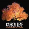 Carbon Leaf - Nothing Rhymes With Woman CD