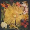 Acid Baby Jesus - Vegetable 7 Vinyl Single (45 Record) (Limited Edition)