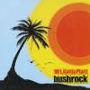 10 FT Ganja Plant - Bush Rock CD