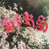 Hirs Collective - Friends Lovers Favorites VINYL [LP] (Colored Vinyl; Gate)