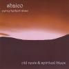 Shaico - Old News & Spiritual Blues CD (CDR)