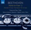 Beethoven / Kodama / Seo - Works For Flute 2 CD