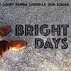 Giant Panda Guerilla Dub Squad - Bright Days CD