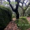 Sam Love - All at Once CD
