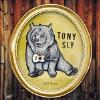 Tony Sly - Sad Bear CD