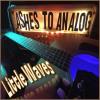Ashes To Analog - Little Waves CD