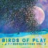 Birds Of Play - Murmurations 2 CD
