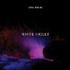 White Violet - Hiding, Mingling CD
