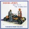 David John - Boys From The 50's CD