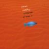 Simon Curphey - Fish Out Of Water CD