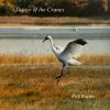 Rick Kuethe - Dance of the Cranes CD