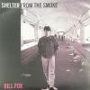 Bill Fox - Shelter From The Smoke VINYL [LP]